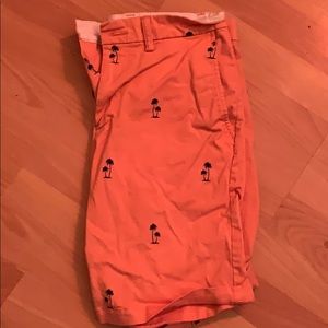 Palm Tree Shorts